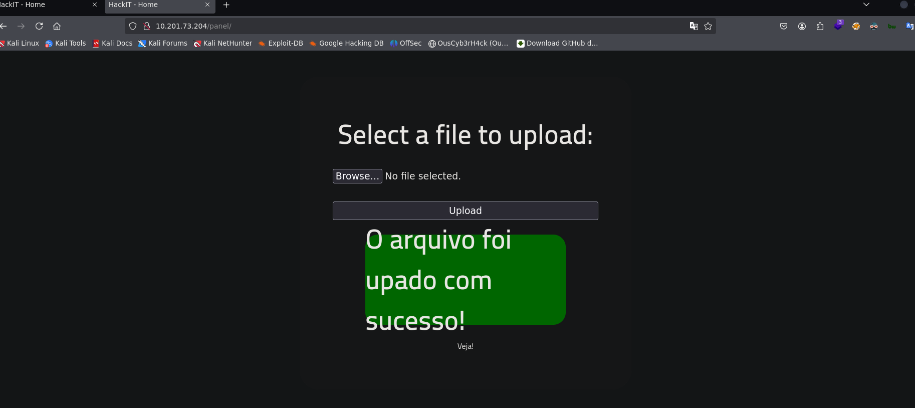 Panel de subida de archivos en /panel/