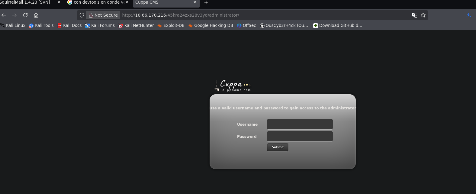 SquirrelMail login